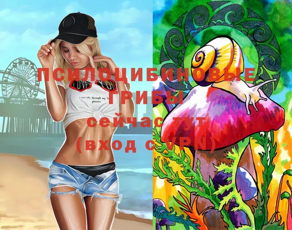 mix Белокуриха